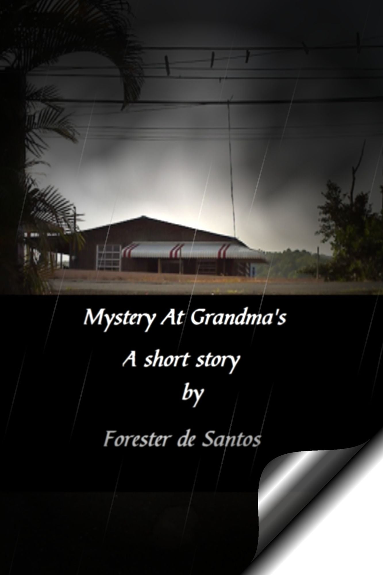 Mystery at Grandma's
