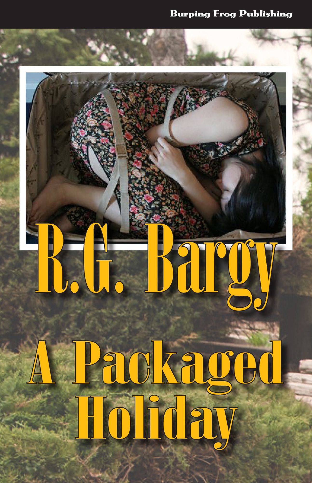 A Packaged Holiday
