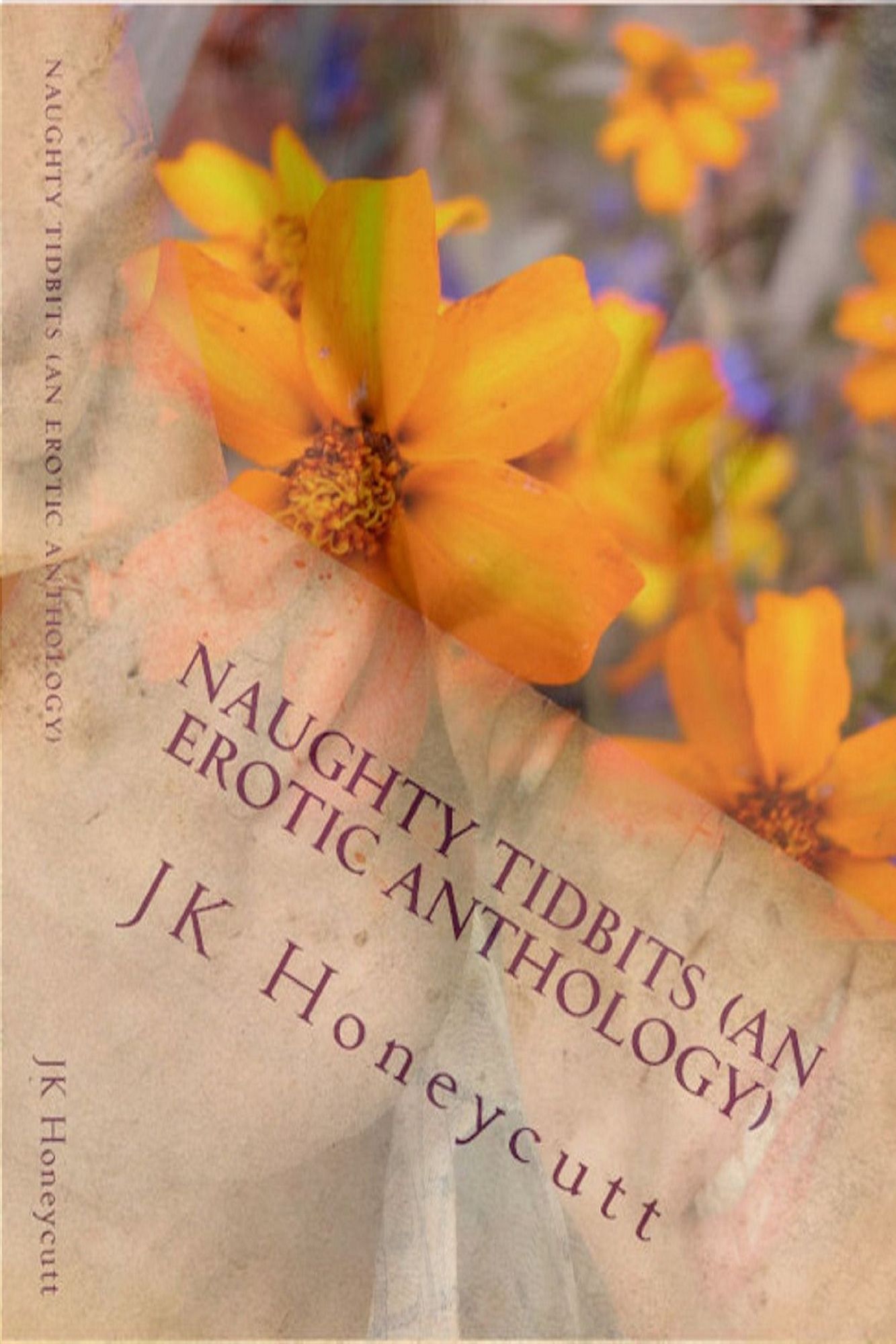 Naughty Tidbits (An Erotic Anthology)
