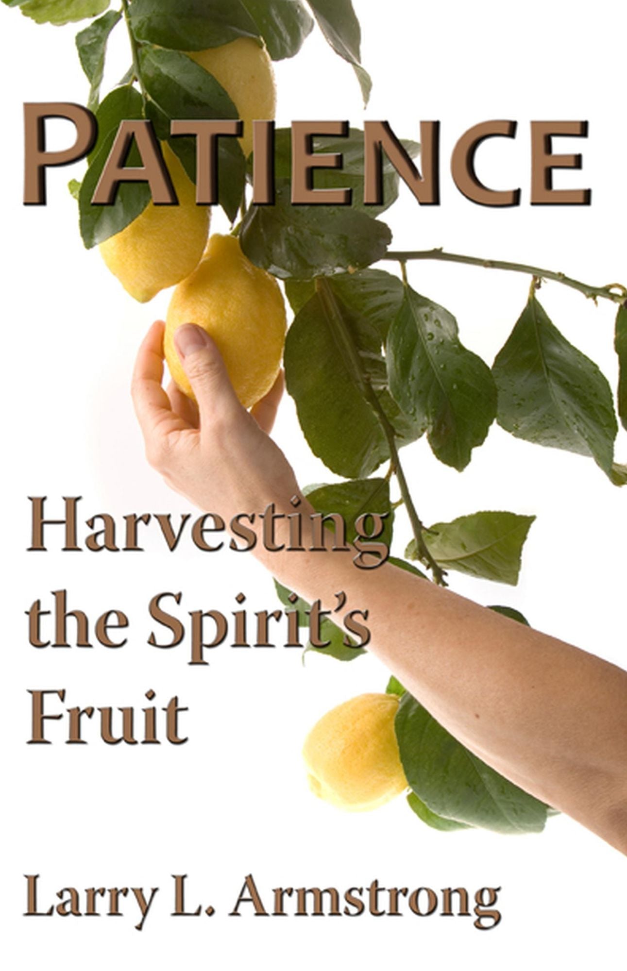 Patience: Harvesting the Spirit's Fruit
