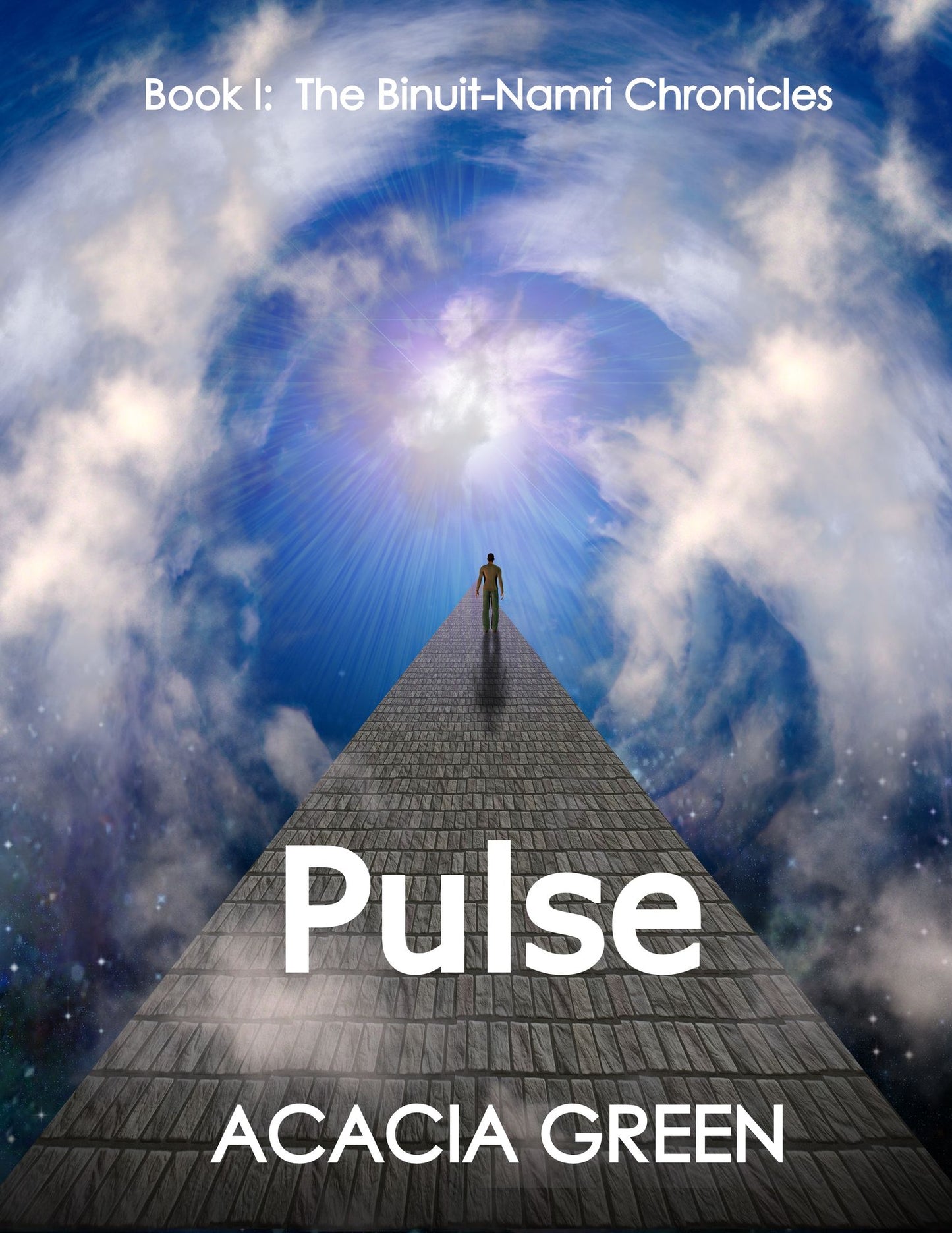 Pulse: Book I Binuit-Namri Chronicles