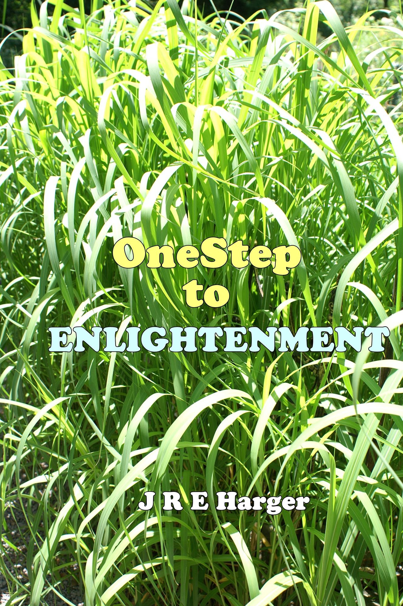 One Step To Enlightenment