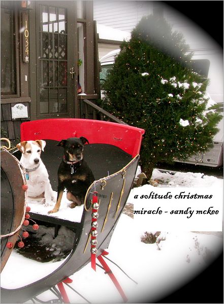 A Solitude Christmas Miracle -5th in Series-Amish Country Murder Mysteries
