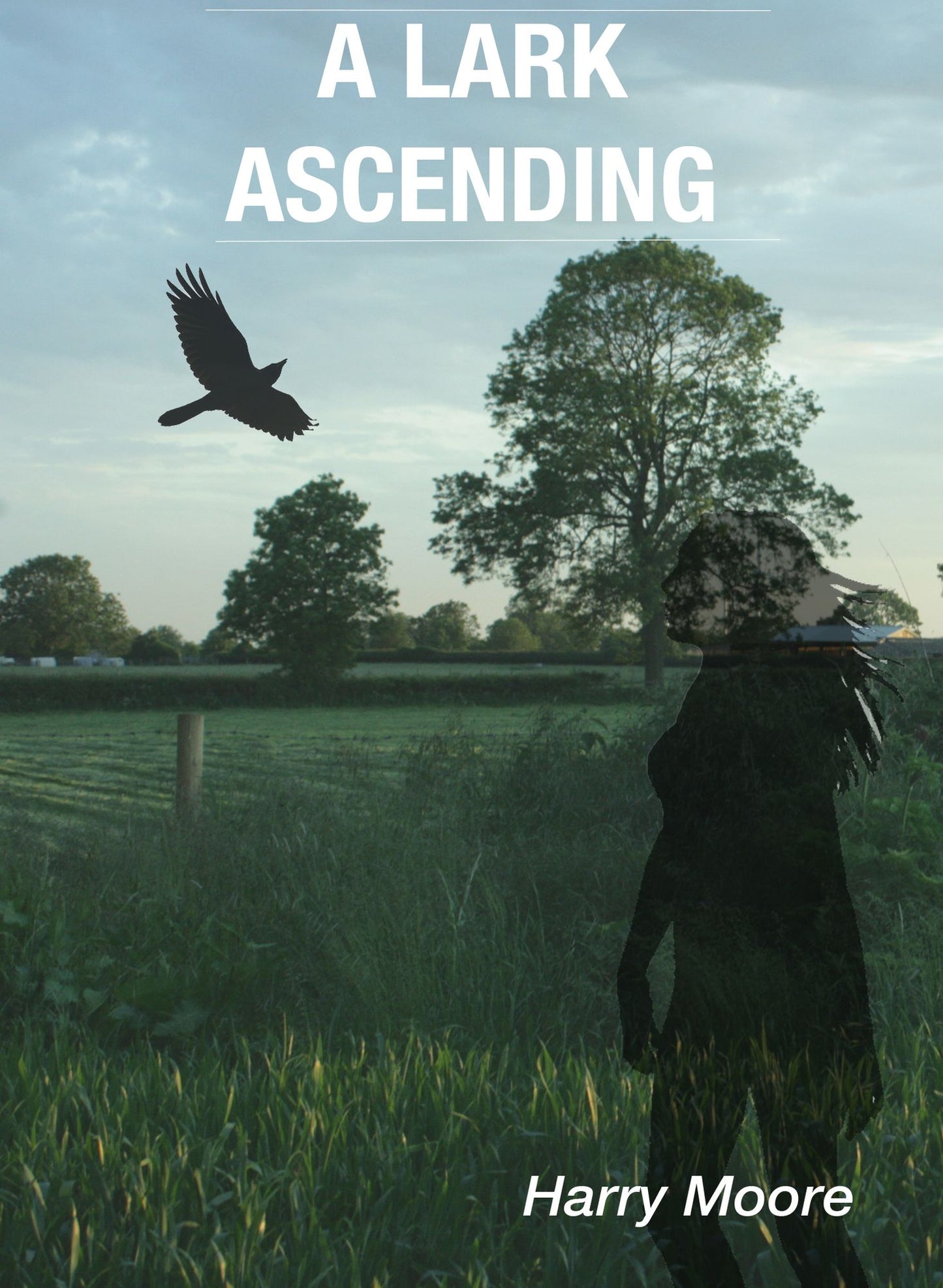 A Lark Ascending