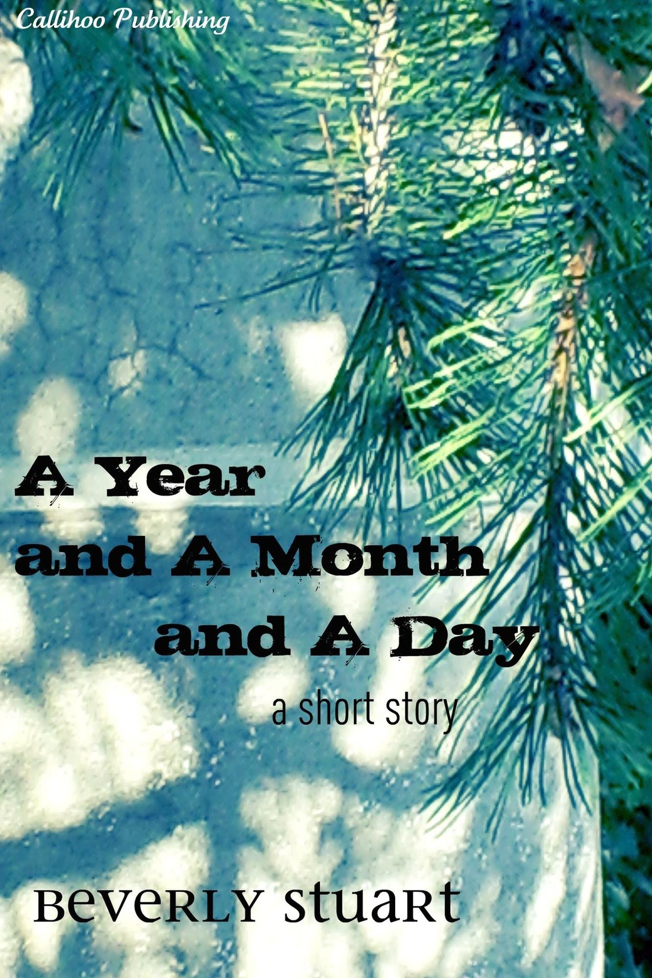 A Year and a Month and a Day