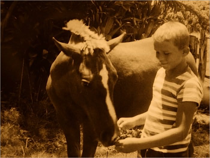 MOLOKAI BOY, a Short Story