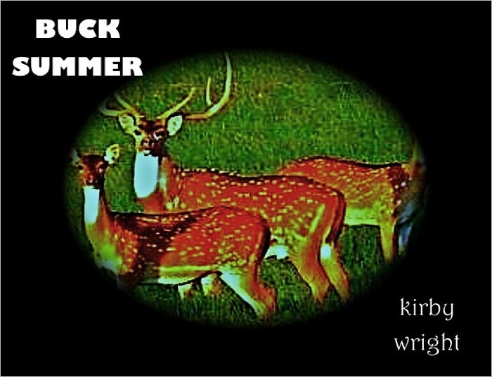 BUCK SUMMER