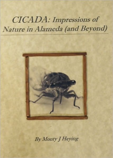 CICADA: Impressions of Nature