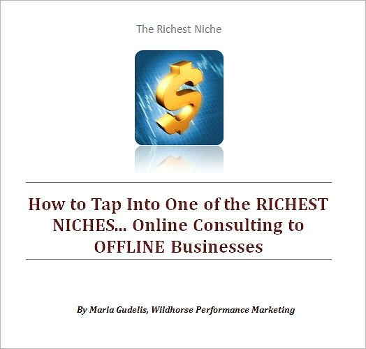 How to Tap Into One of the RICHEST NICHES... Online Consulting to OFFLINE Businesses