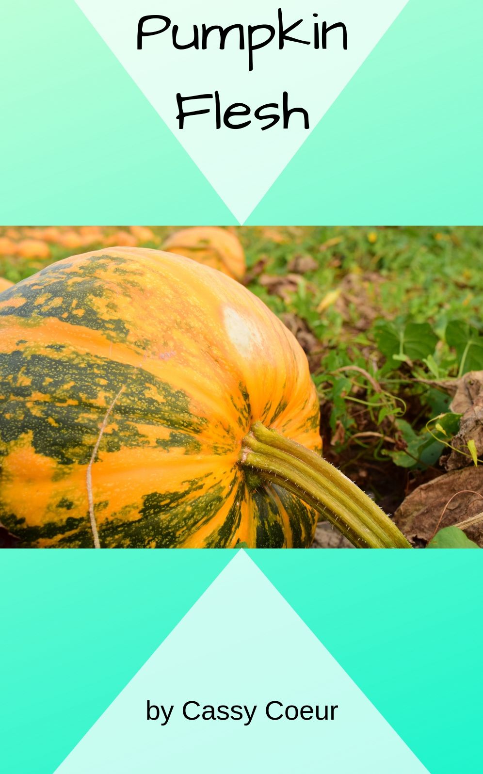 Pumpkin Flesh