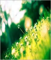 Light on Life's Difficulties
