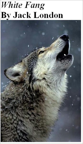 White Fang