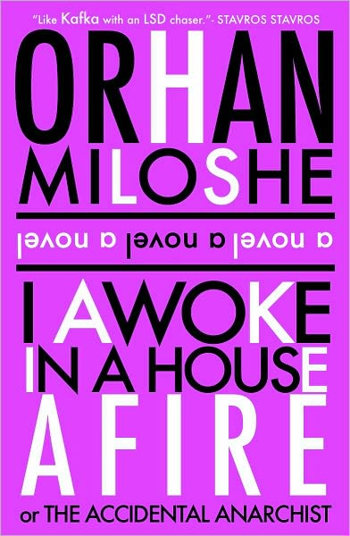 I Awoke In A House Afire or The Accidental Anarchist