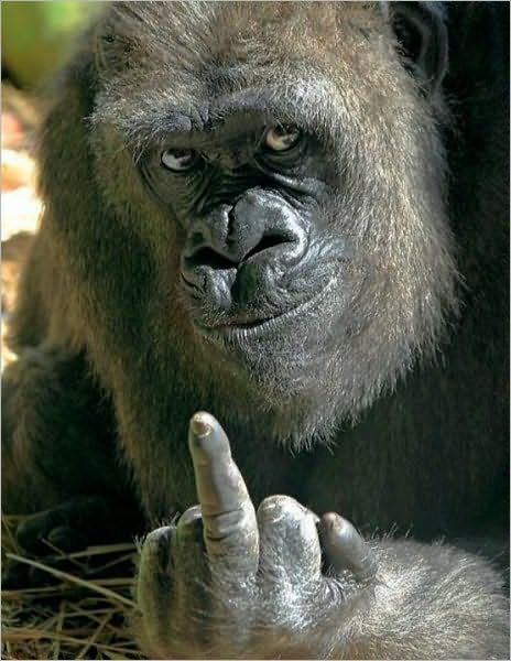 One of My Fingers is Evil