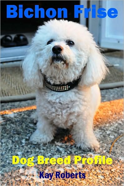 Bichon Frise Dog Breed Profile