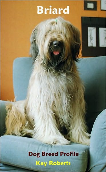 Briard Dog Breed Profile