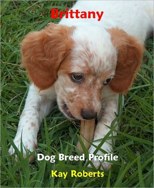 Brittany Dog Breed Profile
