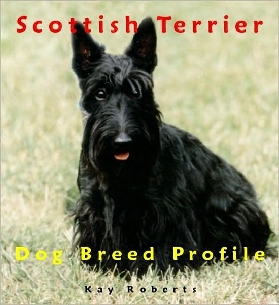 Scottish Terrier Dog Breed Profile