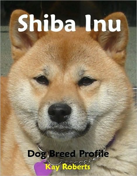 Shiba Inu Dog Breed Profile
