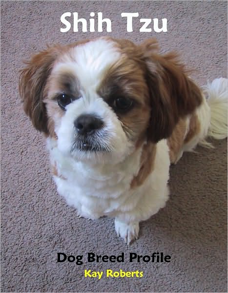 Shih Tzu Dog Breed Profile