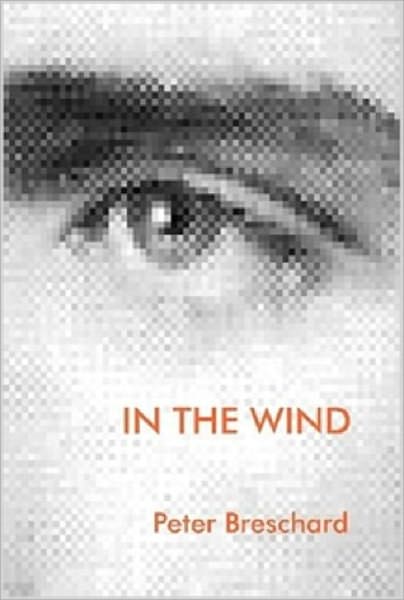IN THE WIND