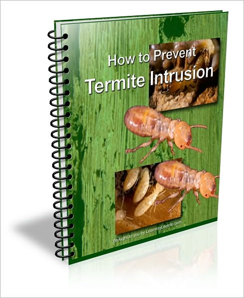 How to Prevent Termite Intrusion In Your Home