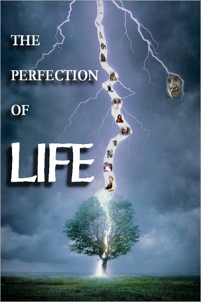 The Perfection of Life : A Journey into Neolithic Mind