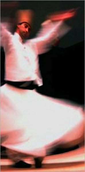 The Whirling Ecstacy