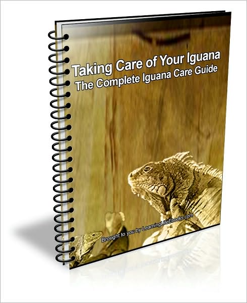 Taking Care of Your Iguana: The Complete Iguana Care Guide