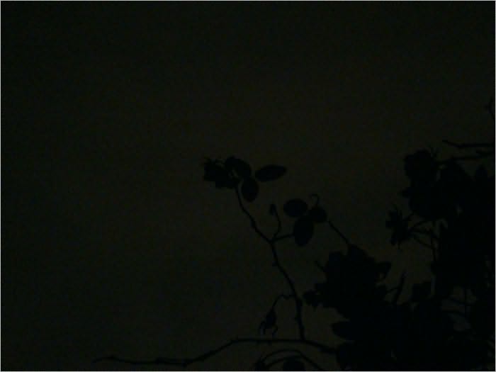 Parting the Darkness