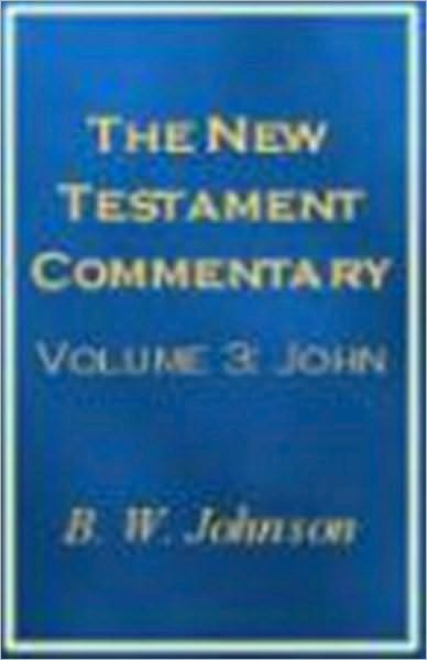 New Testament Commentary Vol. III: John