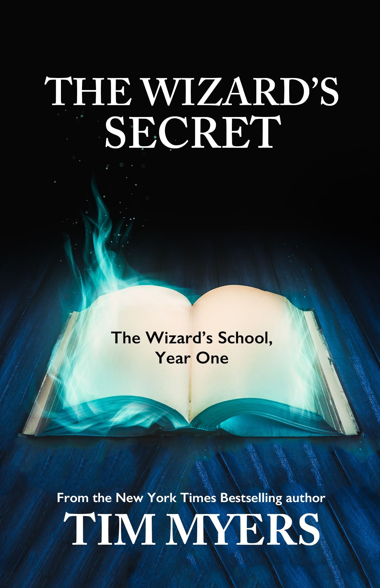 Wizard's School: Year 1, The Wizard's Secret (Young Adult Fantasy)