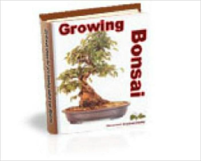 Growing Bonsai
