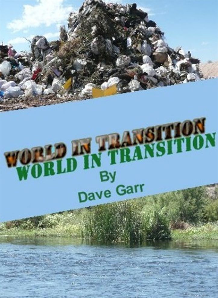 World In Transition
