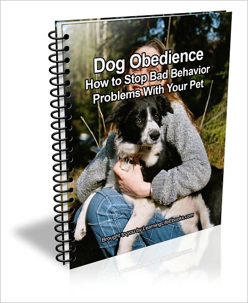 Dog Obedience: How to Stop Bad Behavior Problems With Your Pet