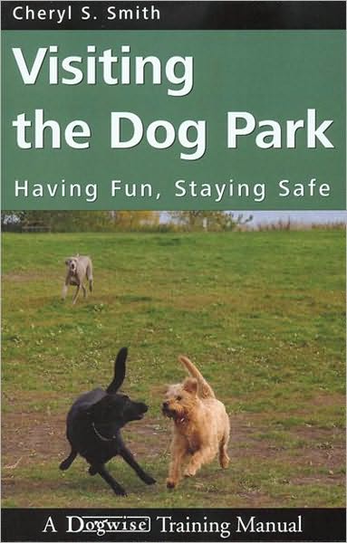 Visiting The Dog Park - Having Fun, Staying Safe