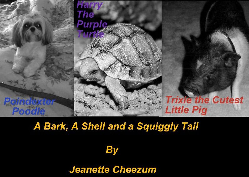 A Bark, A Shell and a Squiggly Tail