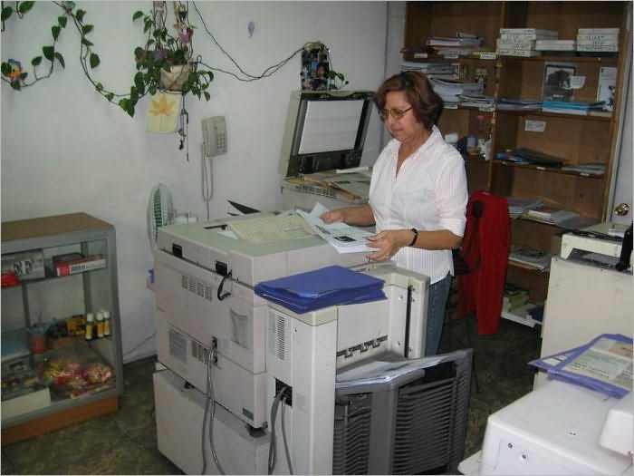 Copier Fax Store Start Up Sample Business Plan!