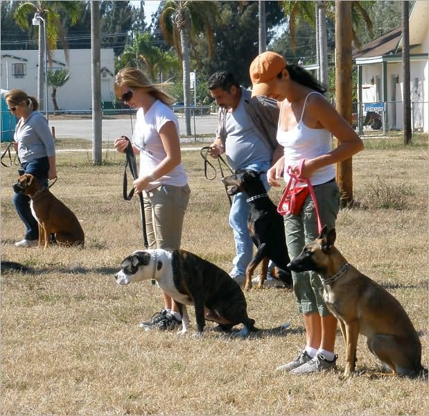 Dog Obedience Training Start Up Sample Business Plan!