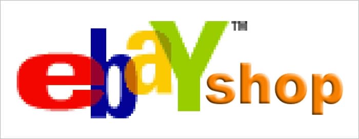 Ebay Shop Store Start Up Sample Business Plan!