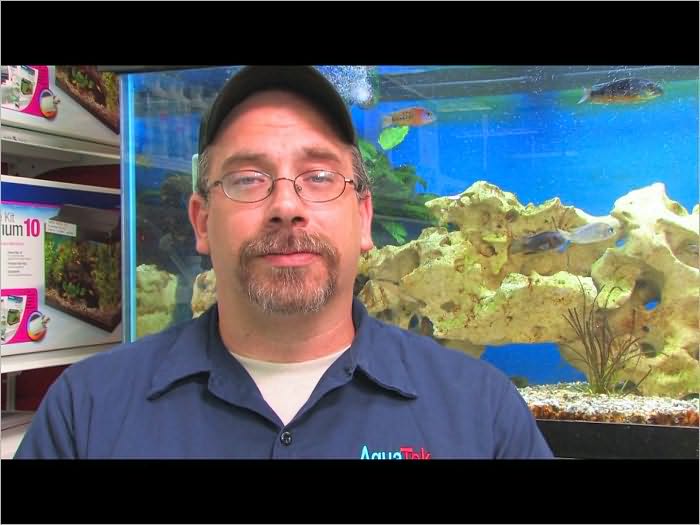 Exotic Fish Aquarium Shop Store Sample Business Plan!