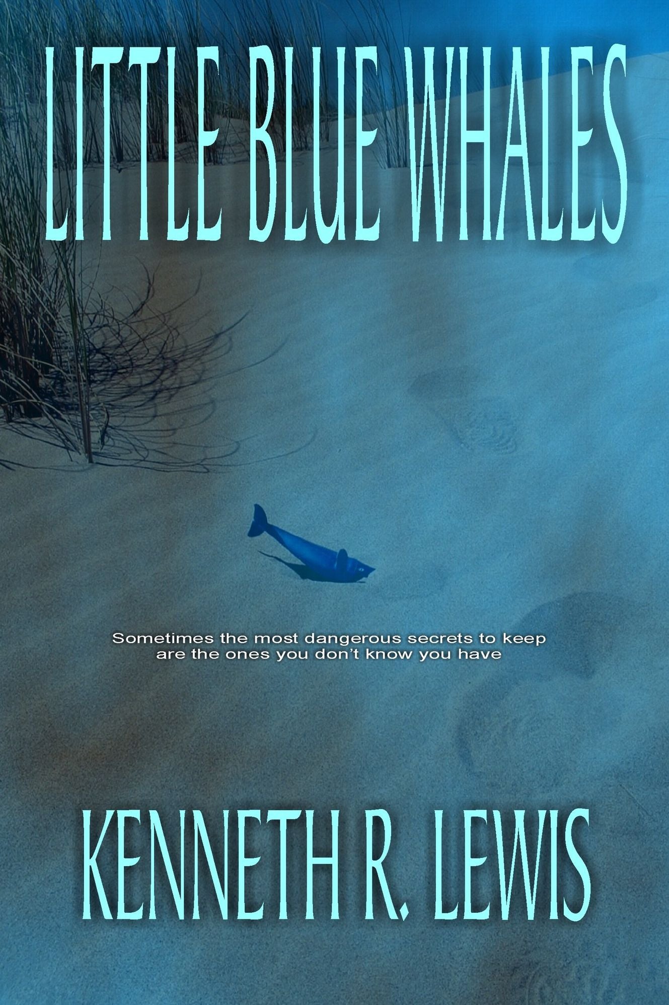 Little Blue Whales