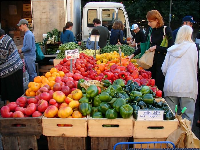 Farmers Market Start Up Sample Business Plan!
