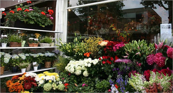 Florist Flower Shop Start Up Sample Business Plan!