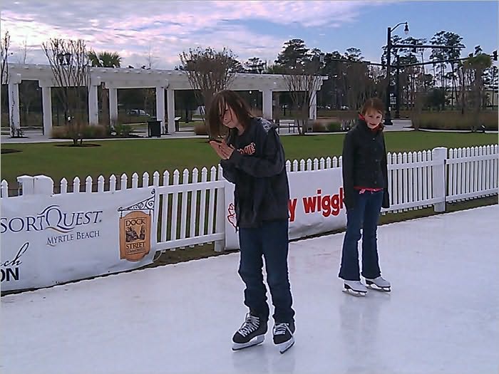 Ice Skating Rink Start Up Sample Business Plan!