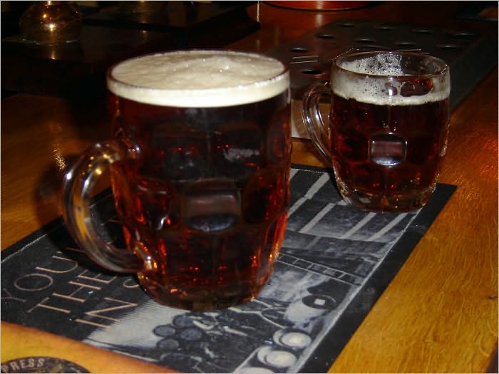Microbrewery Restaurant Start Up Sample Business Plan!