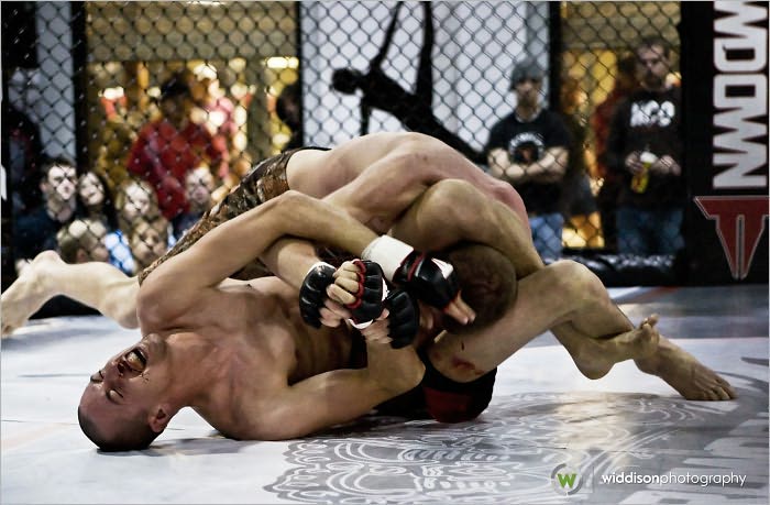 MMA Cage Fighter School Start Up Sample Business Plan!