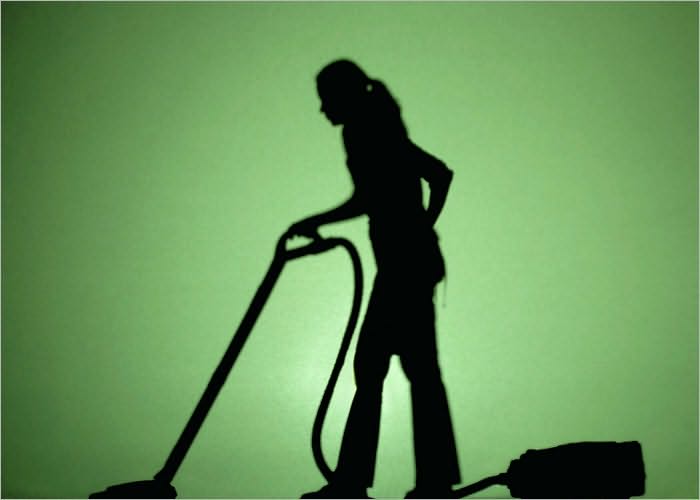 Mobile Maid Cleaning Service Start Up Sample Business Plan!