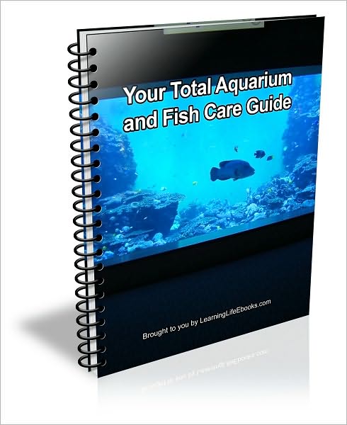 Your Total Aquarium and Fish Care Guide