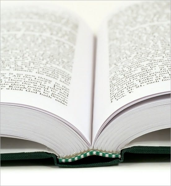The Believer's Handbook on Holiness